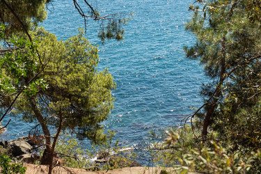 Similar image 21426368