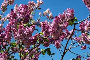 Similar image 21426369