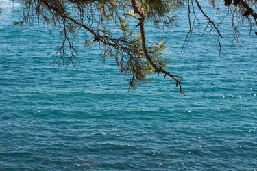 Similar image 21426383