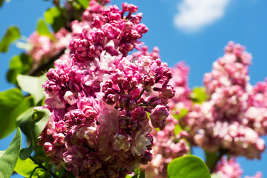 Similar image 21426384