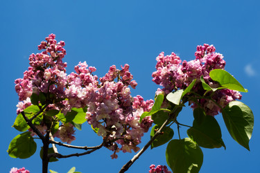 Similar image 21426386