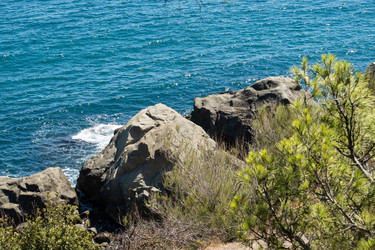 Similar image 21426387