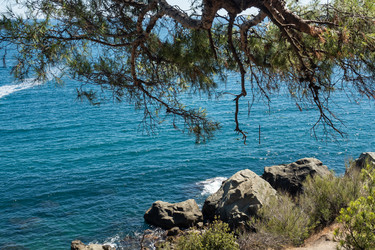 Similar image 21426389