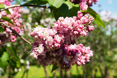 Similar image 21426390