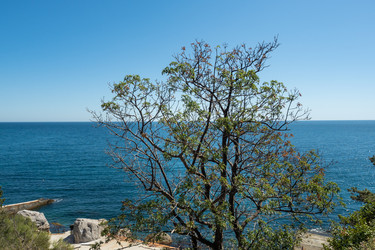 Similar image 21426391