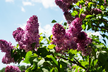 Similar image 21426162