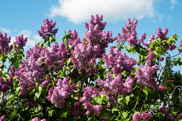 Similar image 21426164