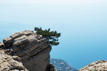 Similar image 21426165