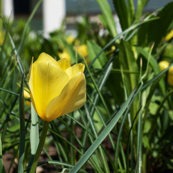 Similar image 21426166