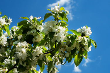 Similar image 21426168