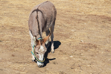 Similar image 21426169