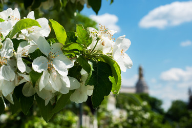 Similar image 21426170