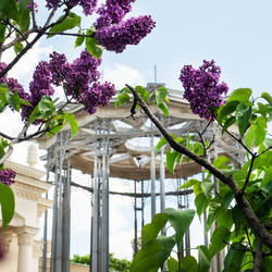 Similar image 21426172