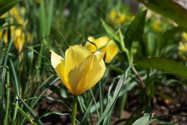 Similar image 21426174