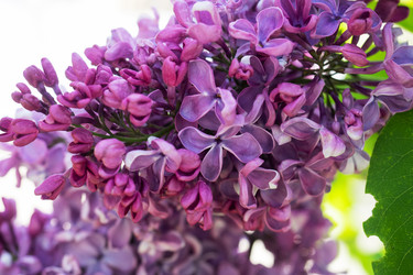 Similar image 21426176