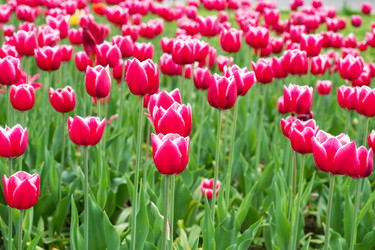 Similar image 21426180