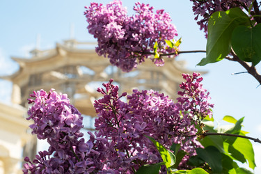 Similar image 21426182