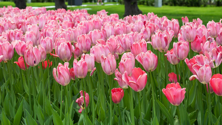 Similar image 21426184