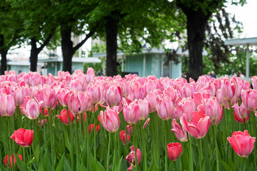 Similar image 21426186