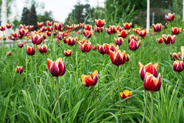 Similar image 21426193