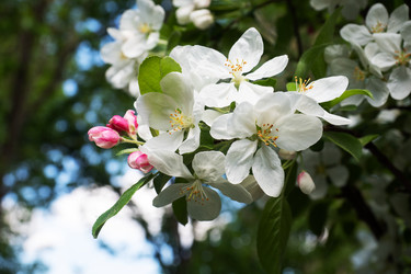 Similar image 21426194