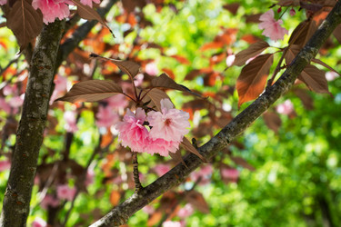 Similar image 21426195