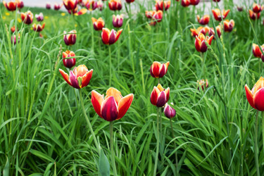 Similar image 21426196