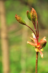 Similar image 21425714