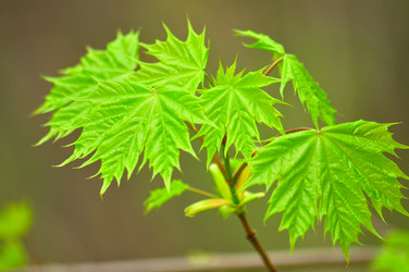 Similar image 21425717