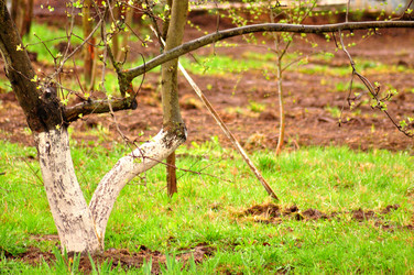 Similar image 21425718