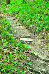 Similar image 21425719