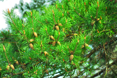 Similar image 21425721