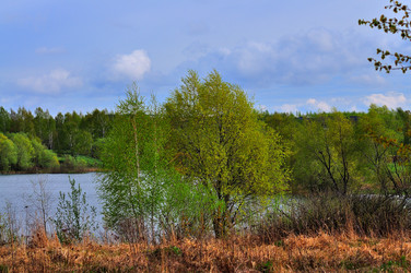 Similar image 21425723