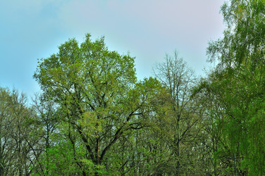 Similar image 21425724