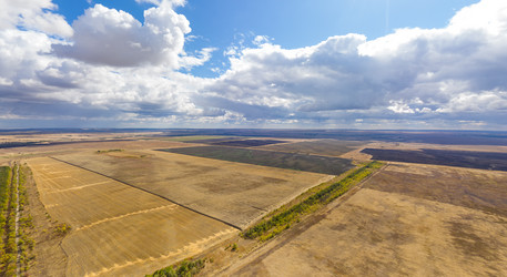 Similar image 21429489