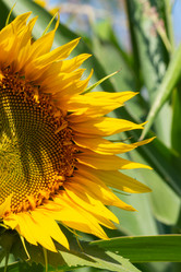 Similar image 21425726