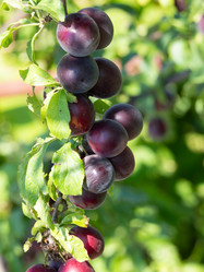 Similar image 21425728