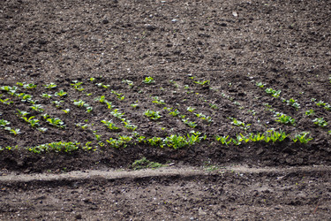 Similar image 21425736