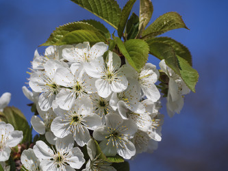 Similar image 21425737