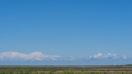 Similar image 21425738