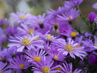 Similar image 21425739