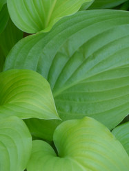 Similar image 21425741