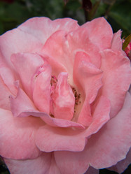 Similar image 21425744