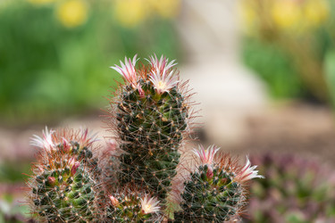 Similar image 21425748