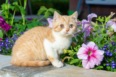 Similar image 21425766