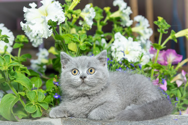 Similar image 21425767