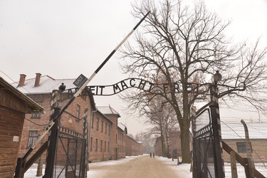 Similar image 21426041