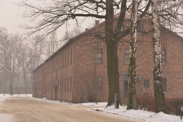 Similar image 21426042