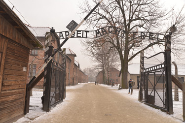 Similar image 21426043