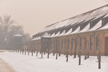 Similar image 21426049